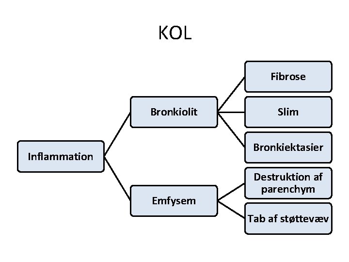 KOL Fibrose Bronkiolit Slim Bronkiektasier Inflammation Emfysem Destruktion af parenchym Tab af støttevæv 