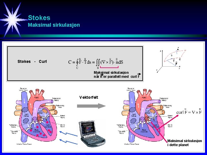 Stokes Maksimal sirkulasjon Stokes - Curl Maksimal sirkulasjon når n er parallell med curl