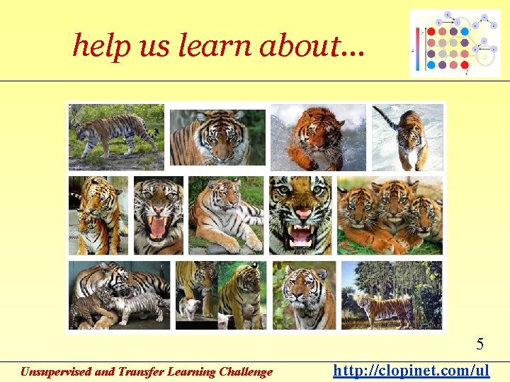 help us learn about… 5 Unsupervised and Transfer Learning Challenge http: //clopinet. com/ul 