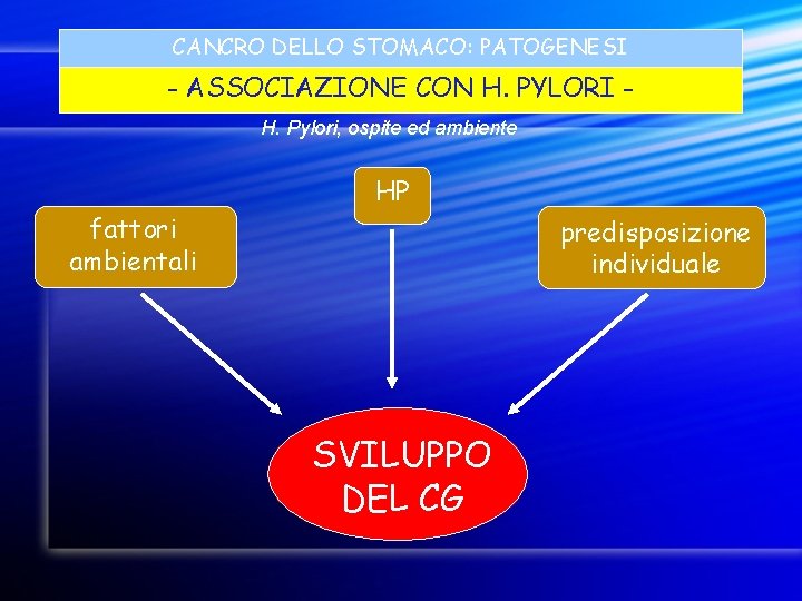 CANCRO DELLO STOMACO: PATOGENESI - ASSOCIAZIONE CON H. PYLORI H. Pylori, ospite ed ambiente