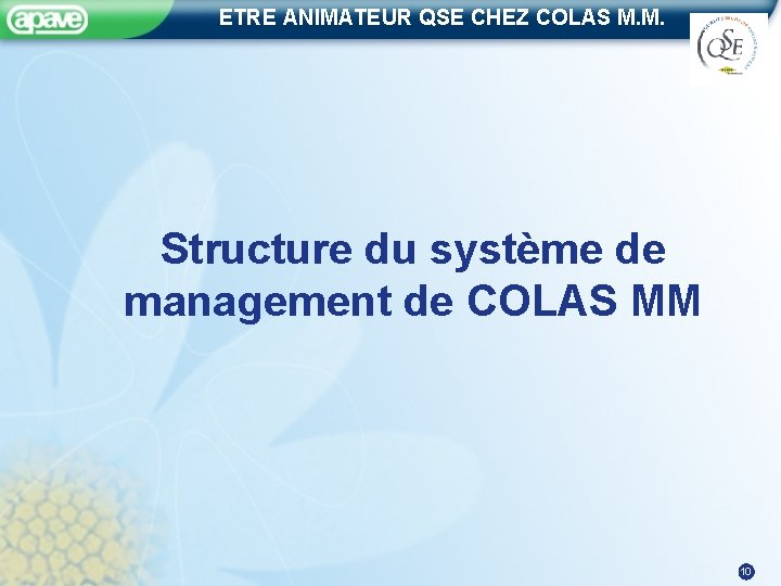 ETRE ANIMATEUR QSE CHEZ COLAS M. M. Structure du système de management de COLAS