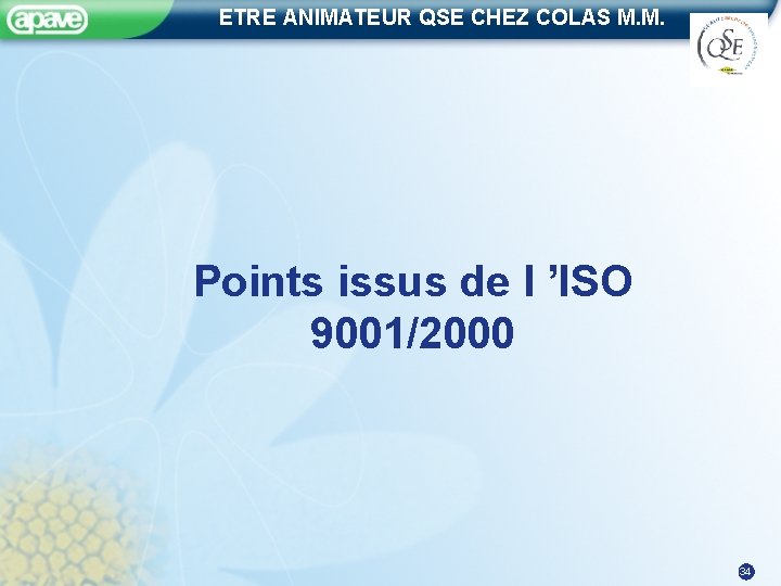 ETRE ANIMATEUR QSE CHEZ COLAS M. M. Points issus de l ’ISO 9001/2000 34