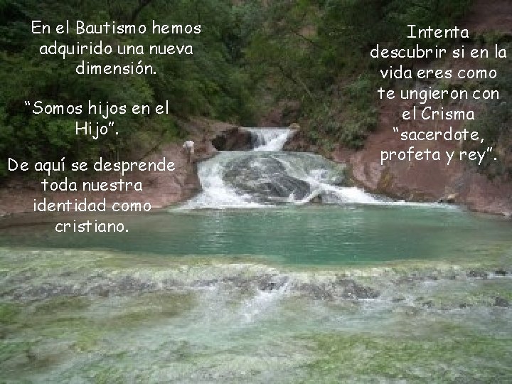 En el Bautismo hemos adquirido una nueva dimensión. “Somos hijos en el Hijo”. De