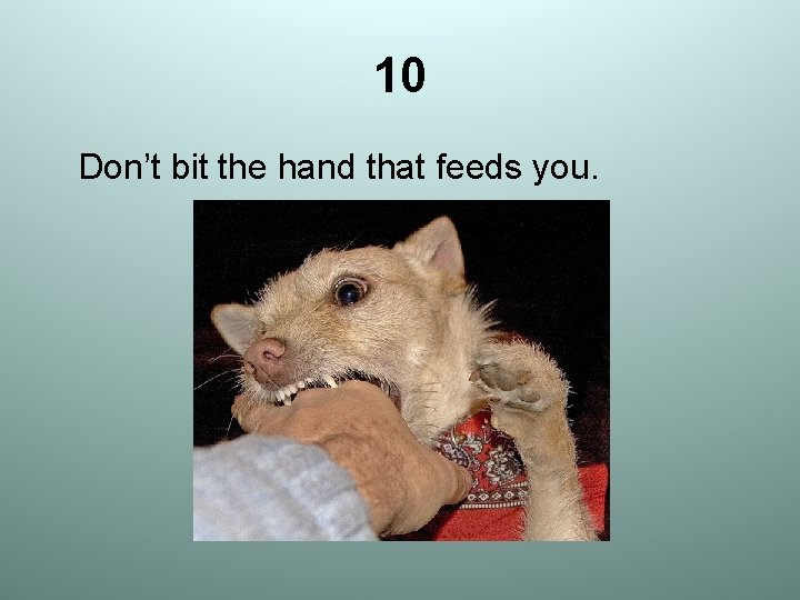 10 Don’t bit the hand that feeds you. 