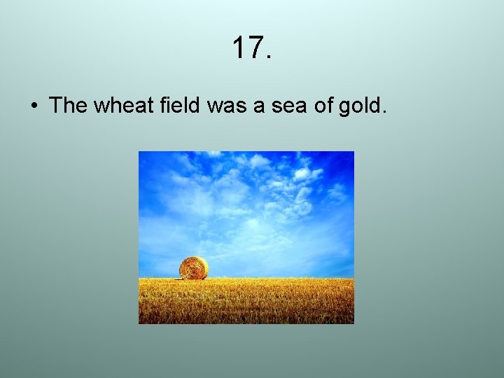 17. • The wheat field was a sea of gold. 