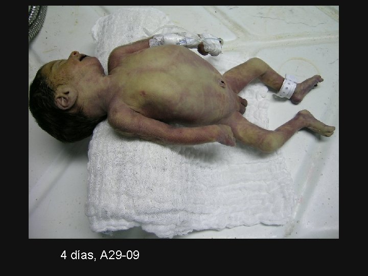 4 días, A 29 -09 4 días, A 29 -09