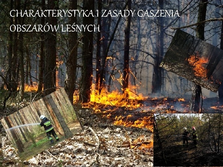 CHARAKTERYSTYKA I ZASADY GASZENIA OBSZARÓW LEŚNYCH 