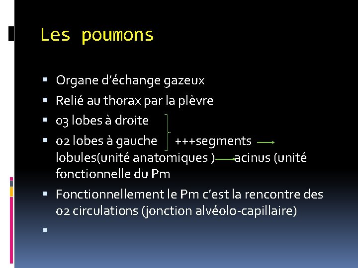 Les poumons Organe d’échange gazeux Relié au thorax par la plèvre 03 lobes à