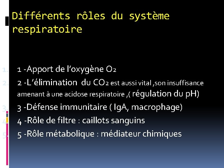 Différents rôles du système respiratoire 1. 1 -Apport de l’oxygène O 2 2. 2