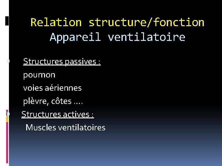 Relation structure/fonction Appareil ventilatoire Structures passives : poumon voies aériennes plèvre, côtes …. Structures