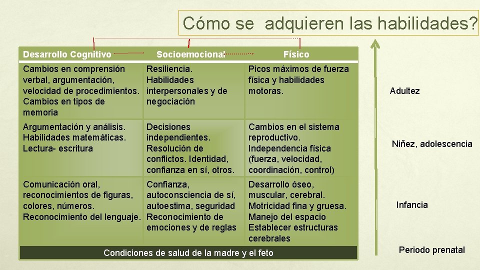 Cómo se adquieren las habilidades? Desarrollo Cognitivo Socioemocional Físico Cambios en comprensión verbal, argumentación,