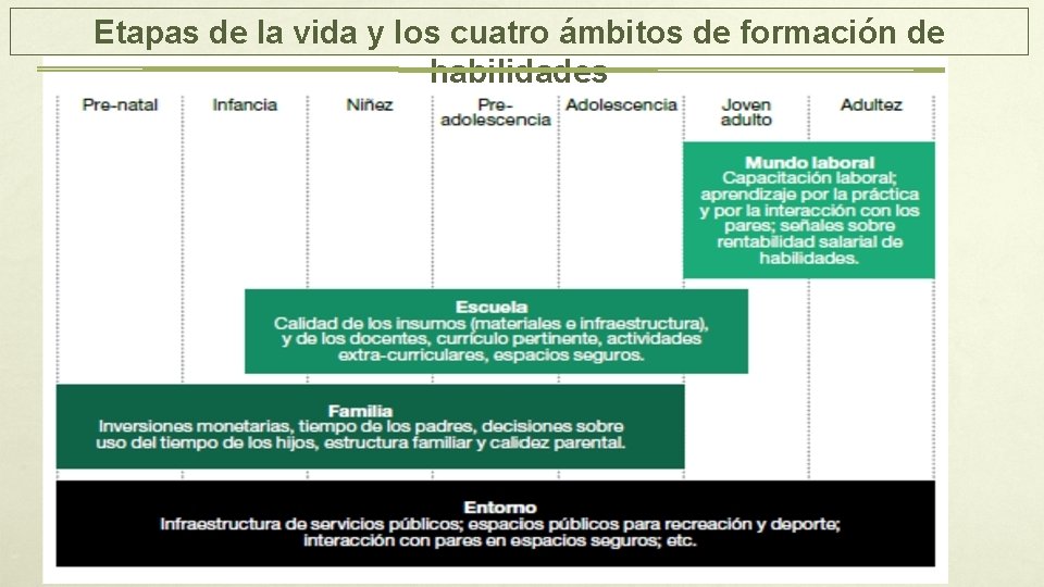 Etapas de la vida y los cuatro ámbitos de formación de habilidades 