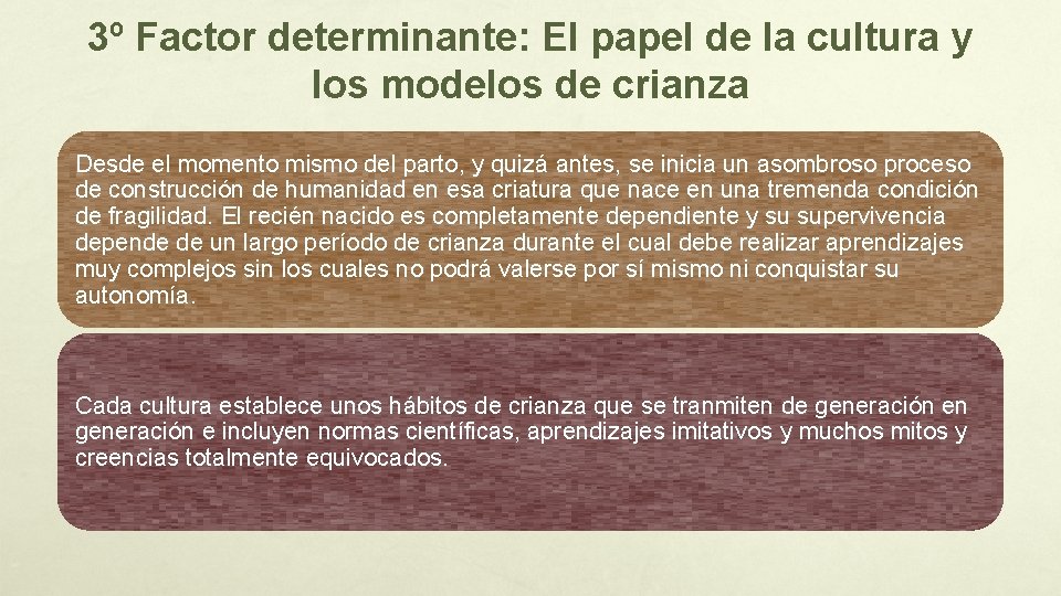 3º Factor determinante: El papel de la cultura y los modelos de crianza Desde