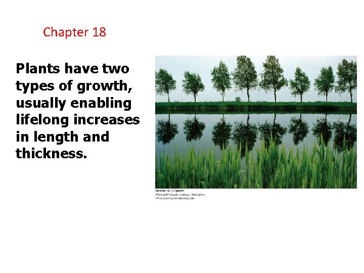 Chapter 18 Plants have two types of growth, usually enabling lifelong increases in length