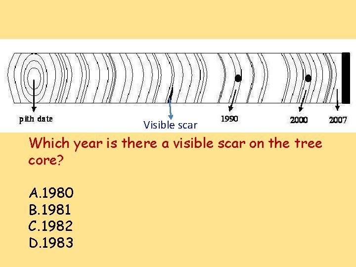 Visible scar Which year is there a visible scar on the tree core? A.