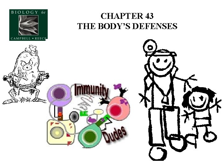 CHAPTER 43 THE BODY’S DEFENSES 