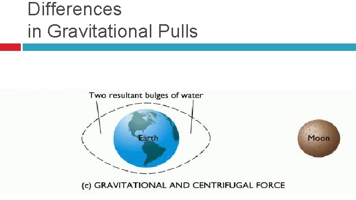 Differences in Gravitational Pulls 