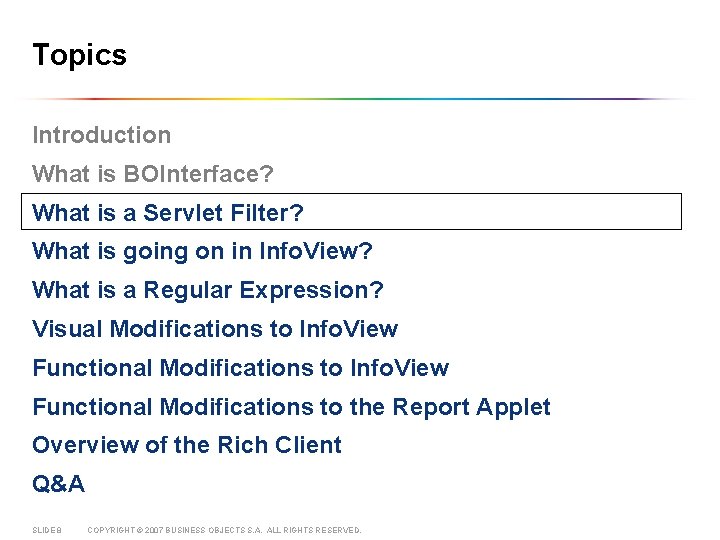 Topics Introduction What is BOInterface? What is a Servlet Filter? What is going on