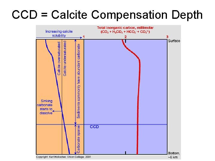 CCD = Calcite Compensation Depth 