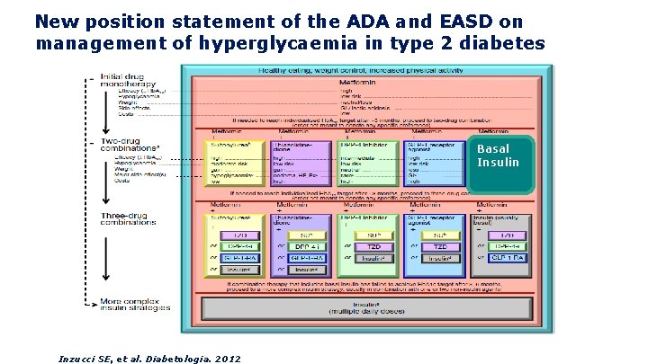 New position statement of the ADA and EASD on management of hyperglycaemia in type