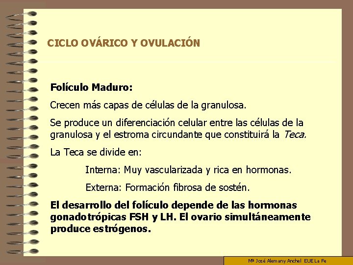 CICLO OVÁRICO Y OVULACIÓN Folículo Maduro: Crecen más capas de células de la granulosa.