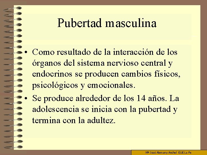 Pubertad masculina • Como resultado de la interacción de los órganos del sistema nervioso