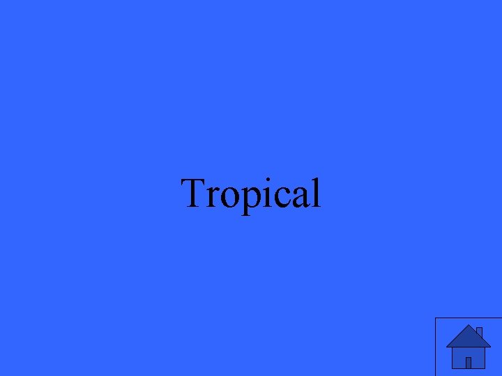 Tropical 