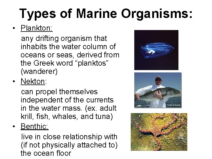 Types of Marine Organisms: • Plankton: any drifting organism that inhabits the water column
