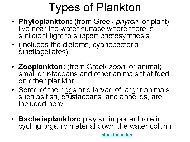 Types of Plankton • Phytoplankton: (from Greek phyton, or plant) live near the water