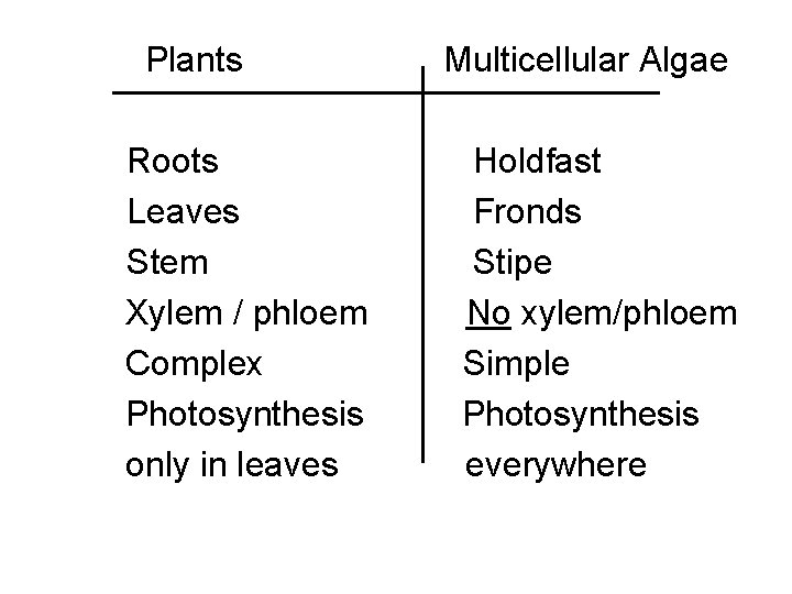 Plants Roots Leaves Stem Xylem / phloem Complex Photosynthesis only in leaves Multicellular Algae