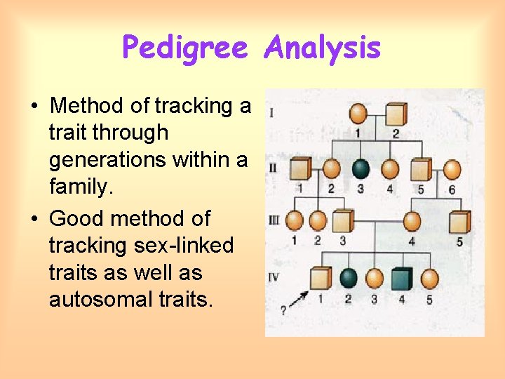 Pedigree Analysis • Method of tracking a trait through generations within a family. •