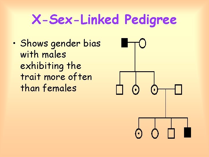 X-Sex-Linked Pedigree • Shows gender bias with males exhibiting the trait more often than