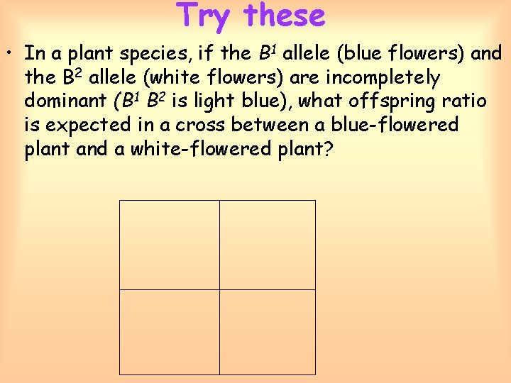 Try these • In a plant species, if the B 1 allele (blue flowers)