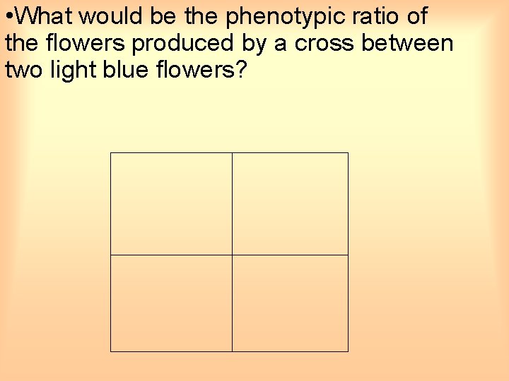  • What would be the phenotypic ratio of the flowers produced by a