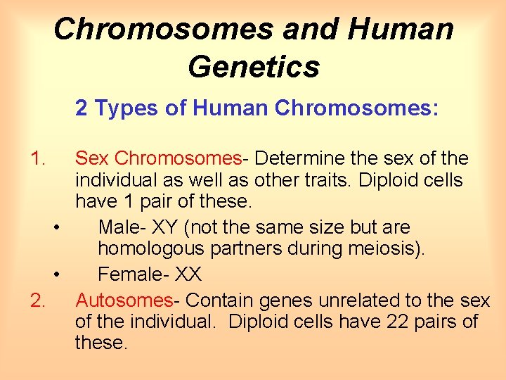 Chromosomes and Human Genetics 2 Types of Human Chromosomes: 1. Sex Chromosomes- Determine the