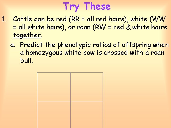 Try These 1. Cattle can be red (RR = all red hairs), white (WW