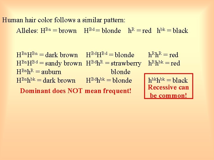 Human hair color follows a similar pattern: Alleles: HBn = brown HBd = blonde
