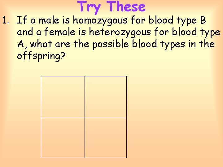 Try These 1. If a male is homozygous for blood type B and a