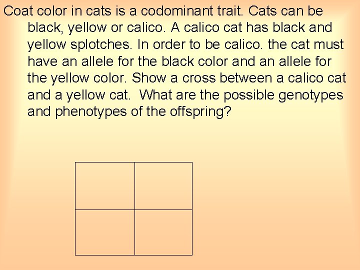 Coat color in cats is a codominant trait. Cats can be black, yellow or