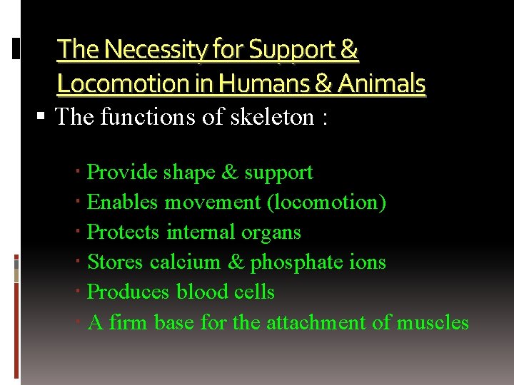 The Necessity for Support & Locomotion in Humans & Animals The functions of skeleton