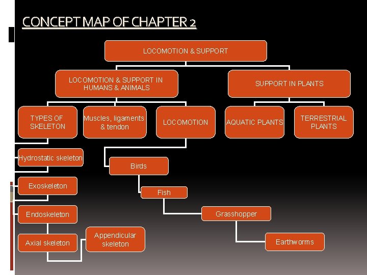 CONCEPT MAP OF CHAPTER 2 LOCOMOTION & SUPPORT IN HUMANS & ANIMALS TYPES OF