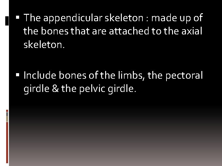  The appendicular skeleton : made up of the bones that are attached to