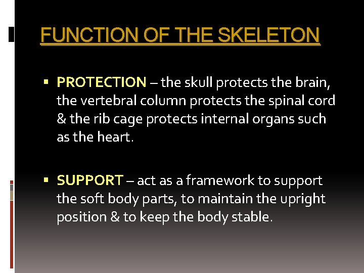 FUNCTION OF THE SKELETON PROTECTION – the skull protects the brain, the vertebral column