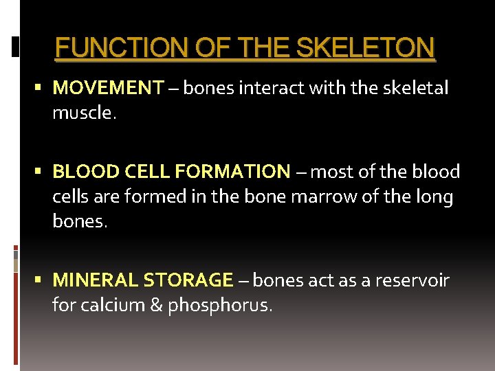 FUNCTION OF THE SKELETON MOVEMENT – bones interact with the skeletal muscle. BLOOD CELL