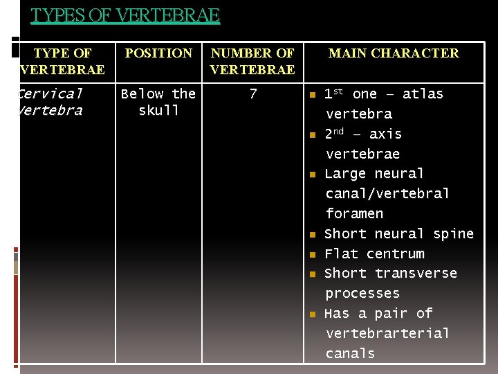 TYPES OF VERTEBRAE TYPE OF VERTEBRAE Cervical Vertebra POSITION NUMBER OF VERTEBRAE Below the