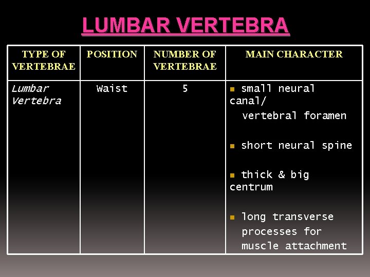 LUMBAR VERTEBRA TYPE OF VERTEBRAE Lumbar Vertebra POSITION NUMBER OF VERTEBRAE Waist 5 MAIN
