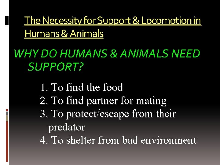The Necessity for Support & Locomotion in Humans & Animals WHY DO HUMANS &