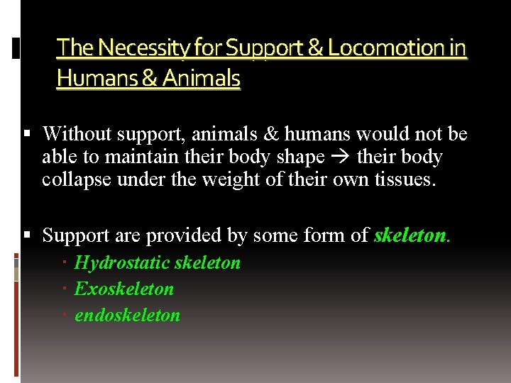 The Necessity for Support & Locomotion in Humans & Animals Without support, animals &