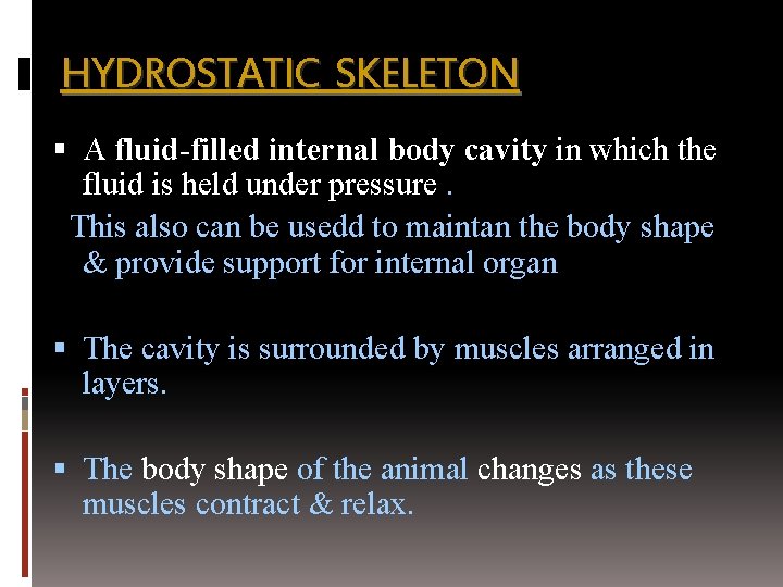 HYDROSTATIC SKELETON A fluid-filled internal body cavity in which the fluid is held under