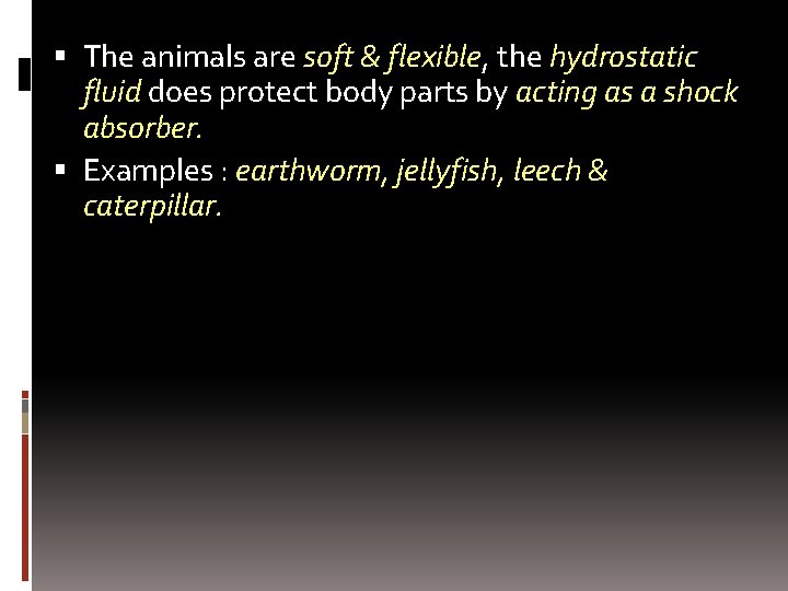  The animals are soft & flexible, the hydrostatic fluid does protect body parts